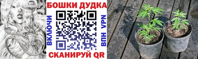 Альфа ПВП Бежецк