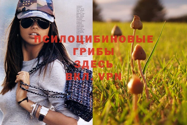 кокаин колумбия Алексин